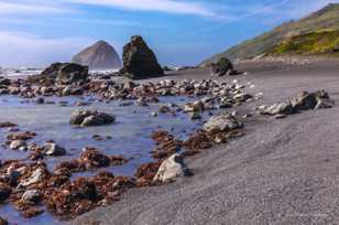 The Lost Coast-3624.jpg